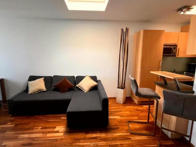Zu Vermieten Wohnung Vienna Vienna DS103771172