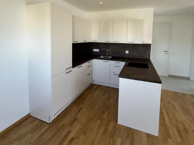 Zu Vermieten Wohnung Bisamberg Bisamberg DS105485469