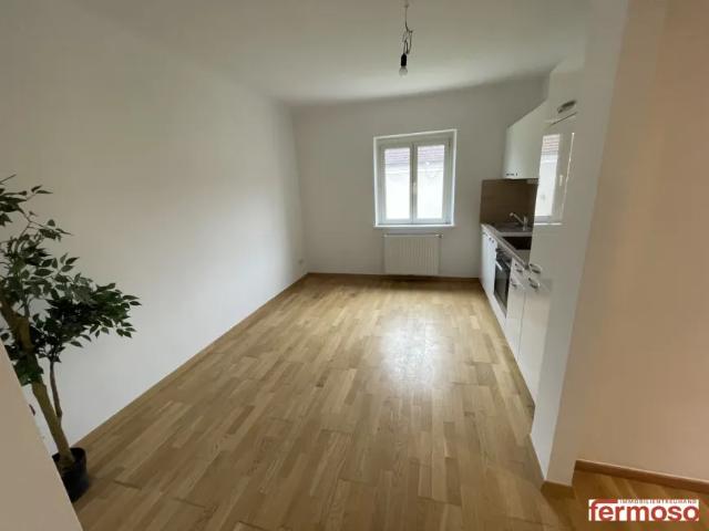 Zu Vermieten Wohnung Ebergassing Ebergassing DS105606101