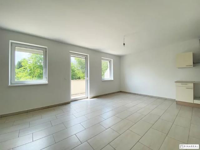 Zu Vermieten Wohnung Eggendorf Eggendorf DS105745790
