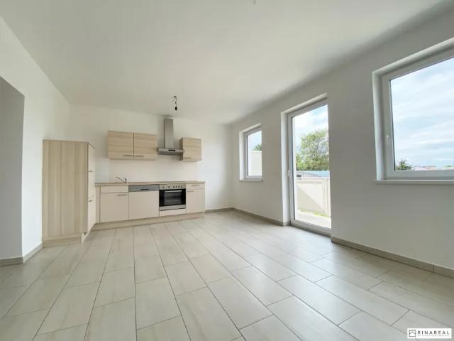 Zu Vermieten Wohnung Eggendorf Eggendorf DS103148631