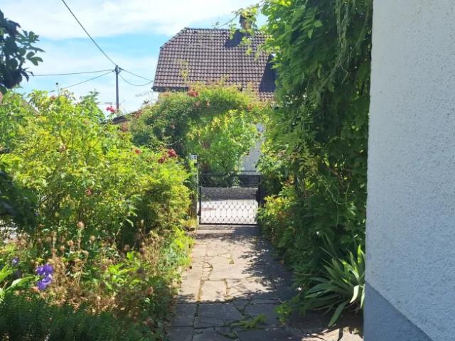 Zu Vermieten Wohnung Elsbethen Elsbethen DS105331904