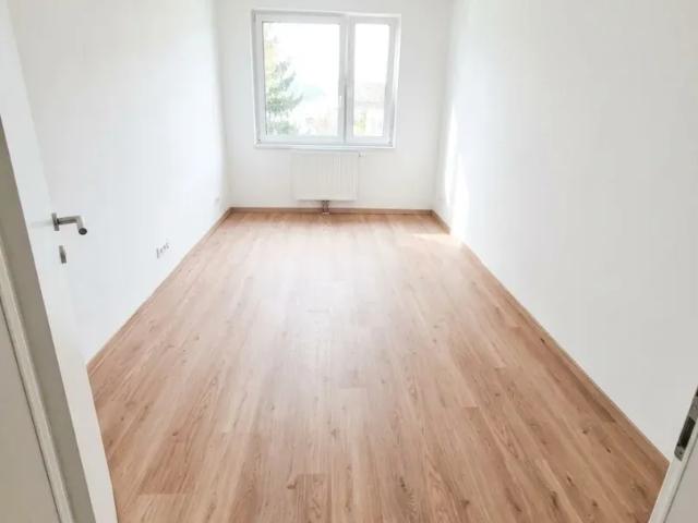 Zu Vermieten Wohnung Hainburg An Der Donau Hainburg An Der Donau DS105312234