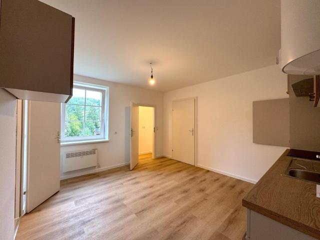 Zu Vermieten Wohnung Hainfeld Hainfeld DS105508690