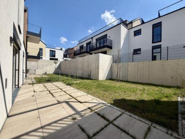 Zu Vermieten Wohnung Hollabrunn Hollabrunn DS103545981