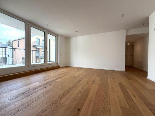 Zu Vermieten Wohnung Hollabrunn Hollabrunn DS103342463