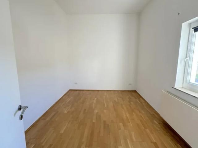 Zu Vermieten Wohnung Jennersdorf Jennersdorf DS105556437