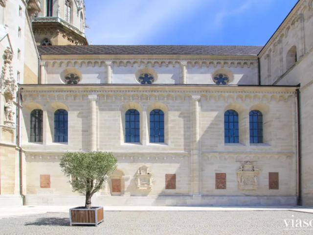 Zu Vermieten Wohnung Klosterneuburg Klosterneuburg DS103506242