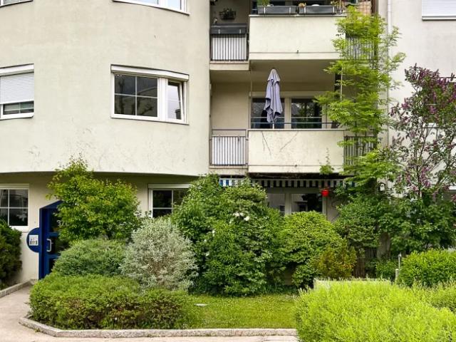 Zu Vermieten Wohnung Lienz Lienz DS105398137