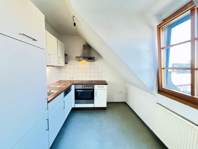 Zu Vermieten Wohnung Loosdorf Loosdorf DS104976195