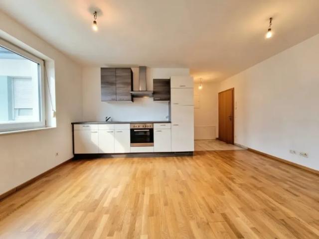 Zu Vermieten Wohnung Loosdorf Loosdorf DS105508985