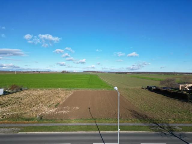Zu Vermieten Wohnung Lutzmannsburg Lutzmannsburg DS105197464