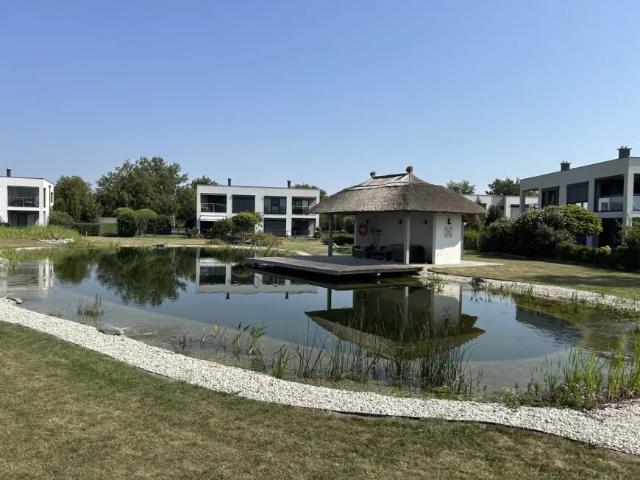 Zu Vermieten Wohnung Lutzmannsburg Lutzmannsburg DS105197554