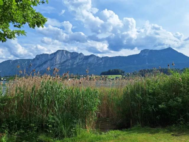 Zu Vermieten Wohnung Mondsee Mondsee DS105331940