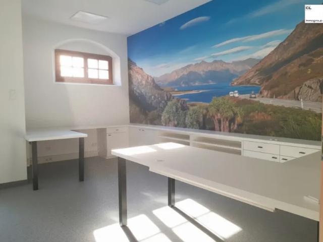 Zu Vermieten Wohnung Mondsee Mondsee DS105332025