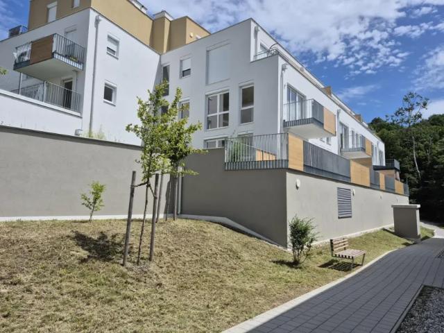 Zu Vermieten Wohnung Nest Nest DS103428461
