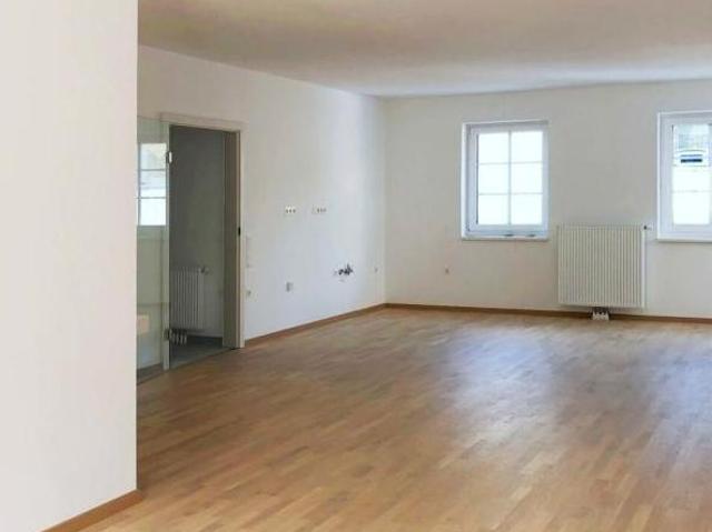 Zu Vermieten Wohnung Niederösterreich Niederösterreich DS104185067