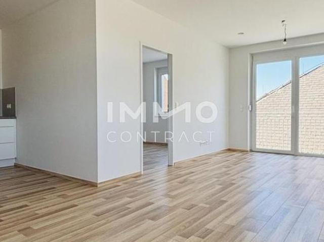 Zu Vermieten Wohnung Niederösterreich Niederösterreich DS105908197