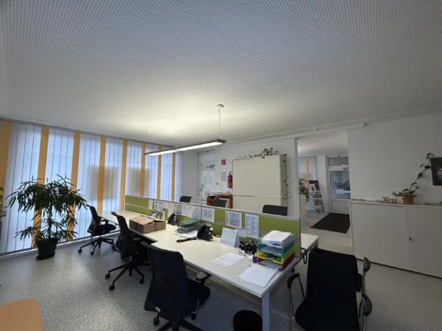 Zu Vermieten Wohnung Oberpullendorf Oberpullendorf DS105197558