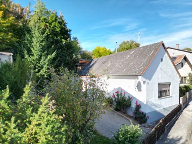 Zu Vermieten Wohnung Oberpullendorf Oberpullendorf DS105922270