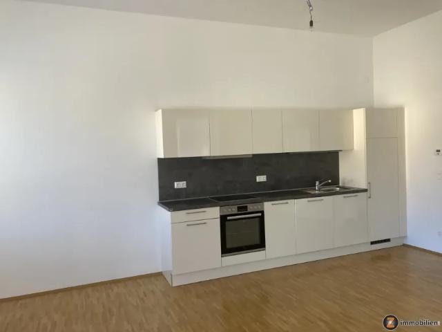 Zu Vermieten Wohnung Pinggau Pinggau DS103830038
