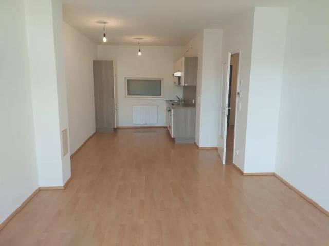 Zu Vermieten Wohnung St. Leonhard Am Forst St. Leonhard Am Forst DS105707157