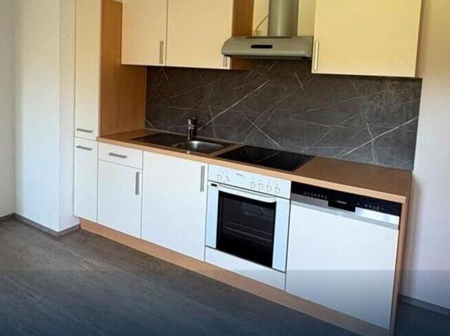 Zu Vermieten Wohnung Steiermark Steiermark DS105545191