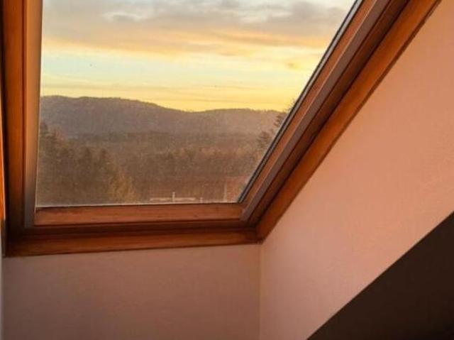 Zu Vermieten Wohnung Steiermark Steiermark DS105034680