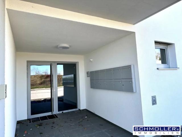 Zu Vermieten Wohnung Steinhaus Steinhaus DS104140335