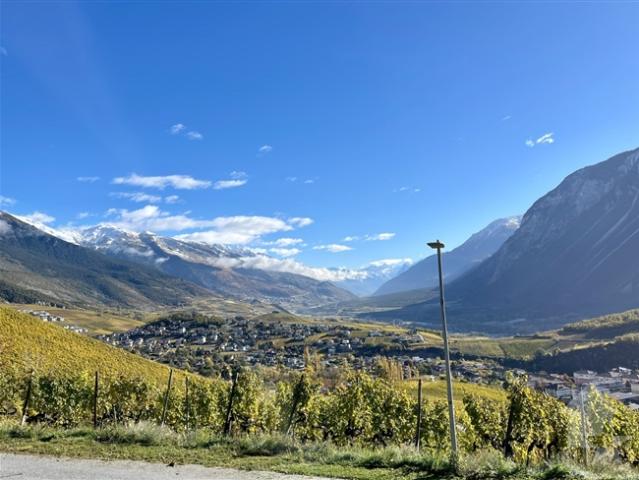 Bauphase, Reihenvilla auf Terrasse, Panoramablick