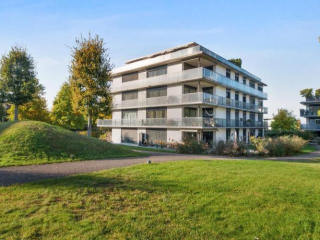 Zu Hause am Zürichsee