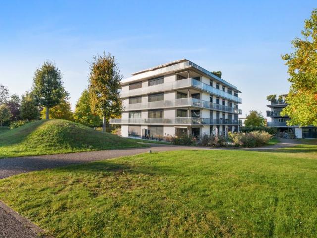 Zu Hause am Zürichsee