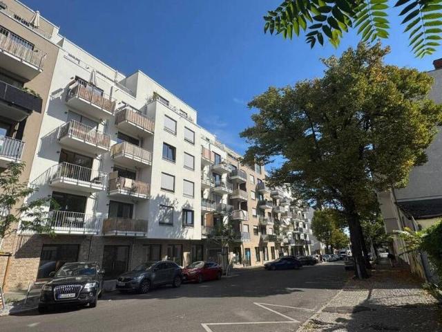 Zum Träumen: Schicke 3 Zimmer Wohnung mit 2 Balkons und offenem Küchenbereich im Quartier 'RIEKE'