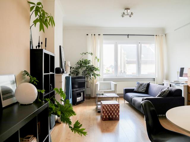 Zuid