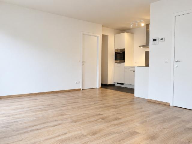 Zuid