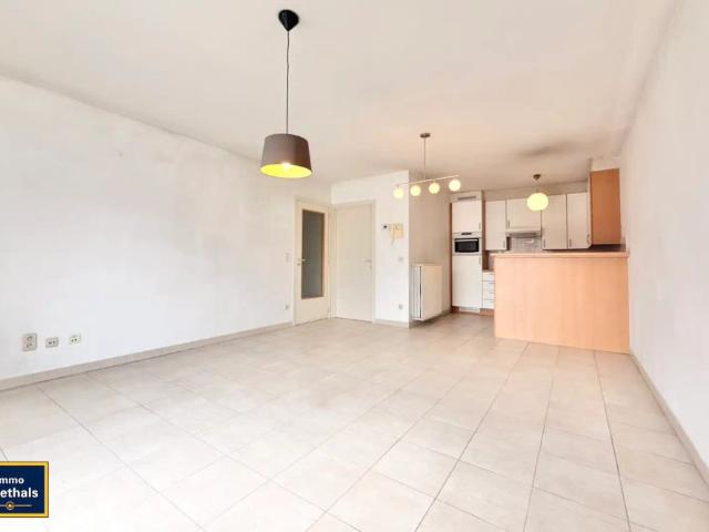 Zuidgericht appartement bij de markt met terras en garage