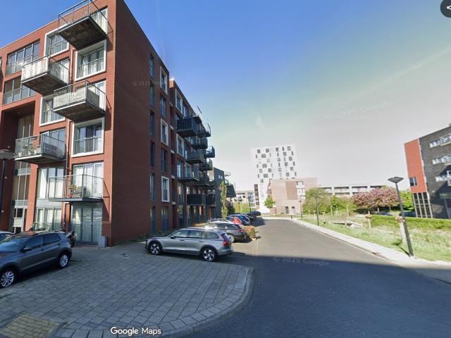 Zuiderlicht 413