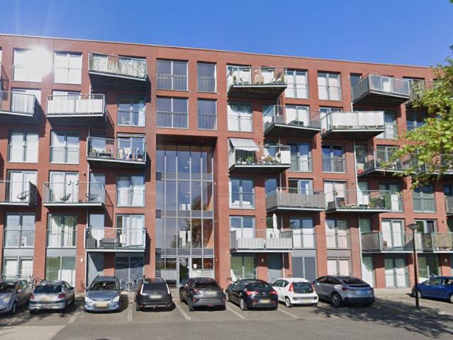 Zuiderlicht 349
