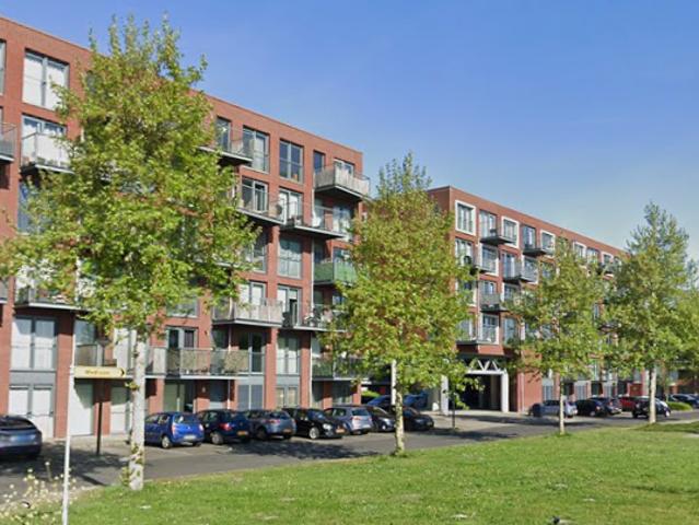 Zuiderlicht 353