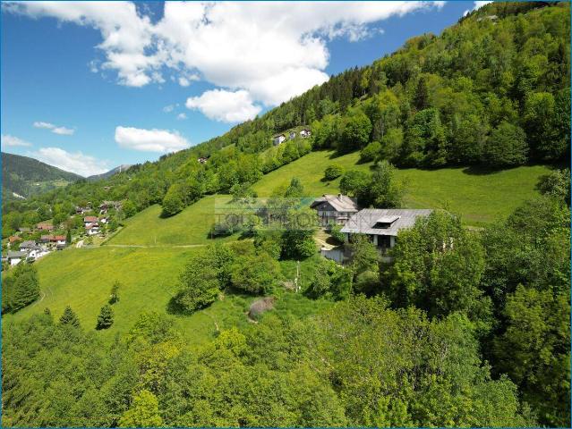 Zurück zum Ursprung – Ihr Hof mit ca. 25 ha Landwirtschaft in den Kärntner Nockberge
