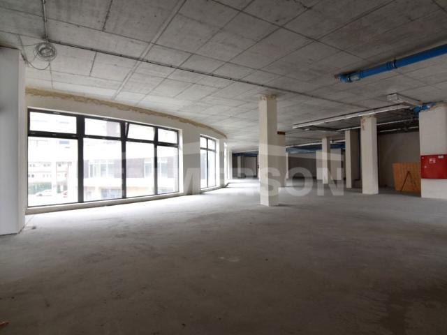 Zygmunta Miłkowskiego 710 m², Kraków