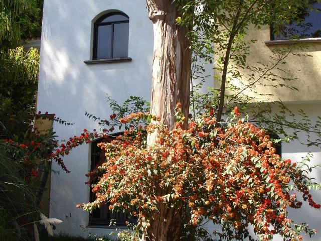 A04 Casa en Renta o Venta en San José del Puente Puebla