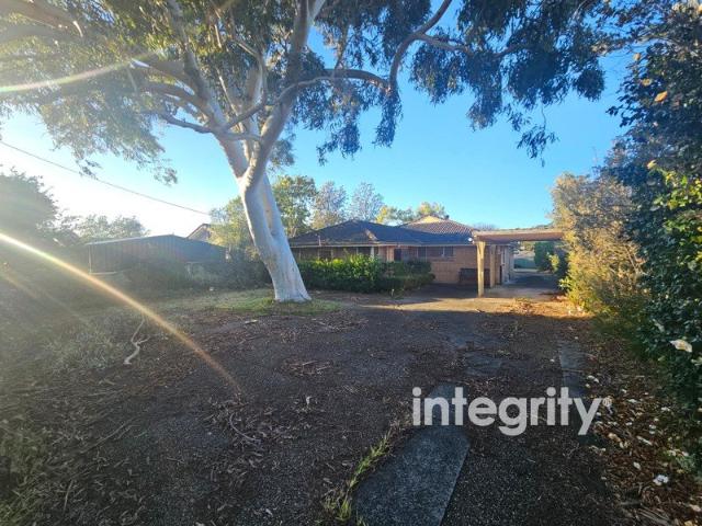 A must see!