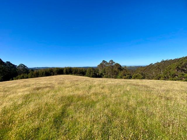 A Magical Lifestyle Opportunity 18 Acres of Pure Potential