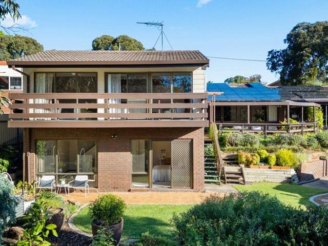 A mid century home that makes room for everyone amongst the treetops