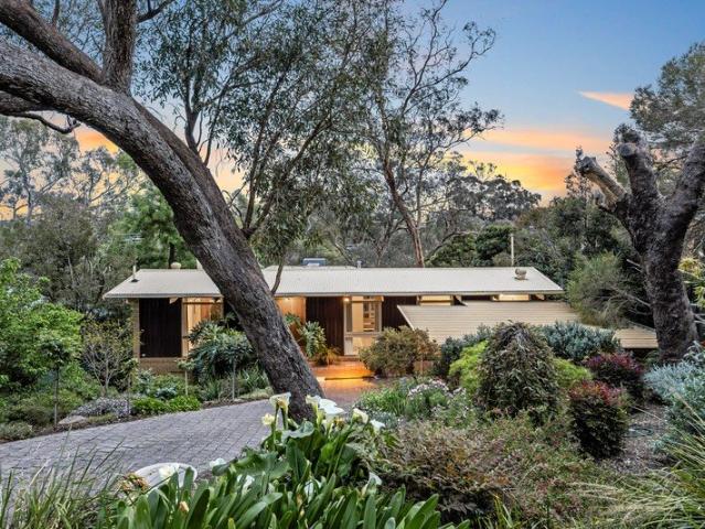 A mid century showpiece ready to steal your heart