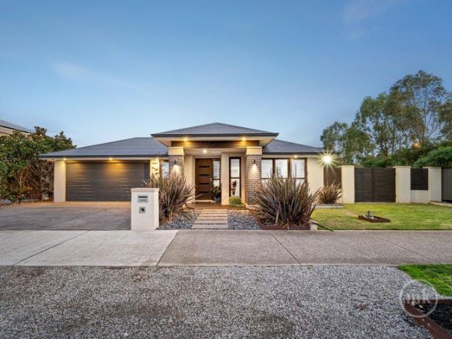 A Modern Family Sanctuary