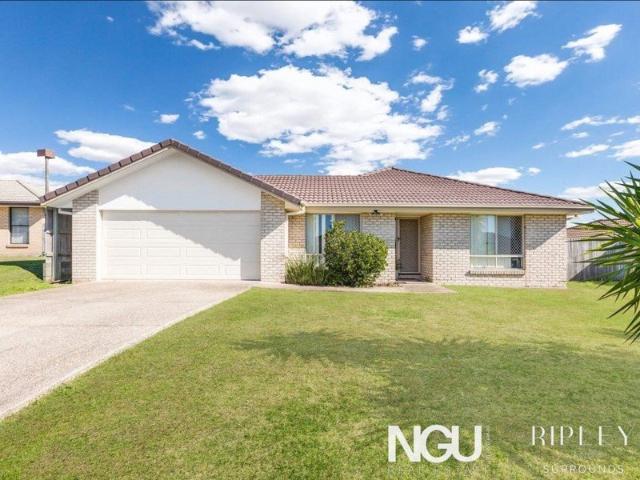 Spacious Family Living on a Generous 728m² Block