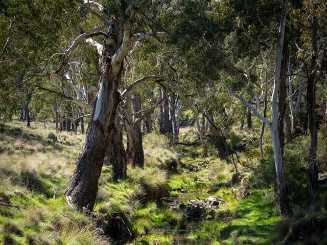 A Native Escape on the Edge of Orange