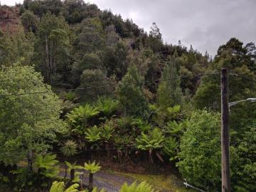 A Natural Escape with Views and Adventure at Your Doorstep!